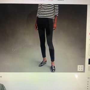 J.Crew Any Day Ponte Pixie Pants